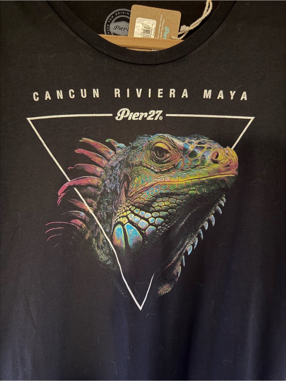 Black Iguana Graphic Tee with Green Accent